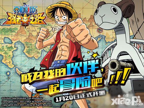 航海王強者之路薇薇值得培養(yǎng)嗎