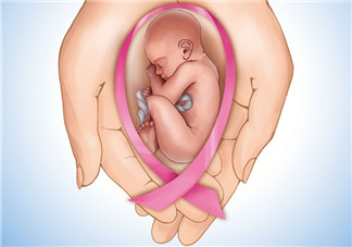 備孕首先應(yīng)該了解什么？宮頸黏液和排卵期是什么？