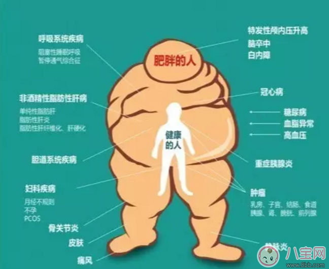 備孕前體重超標(biāo)怎么辦？準(zhǔn)備懷孕前需要減肥嗎？