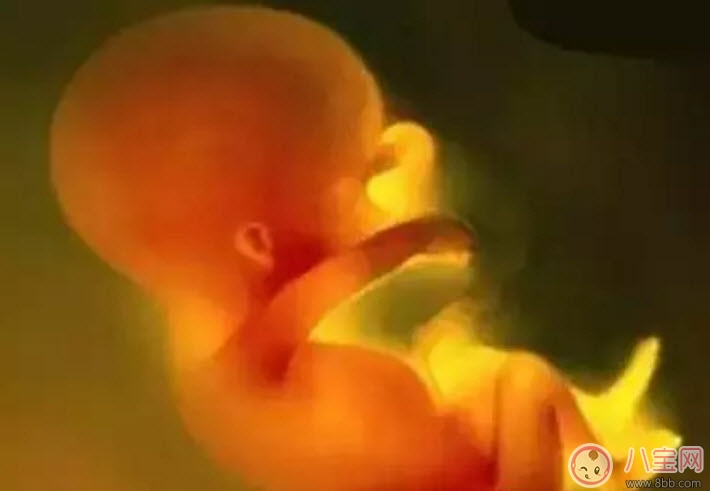 2017立秋后備孕怎么樣 立秋后備孕的好處有哪些 2017立秋后備孕怎么樣 立秋后備孕的好處有哪些