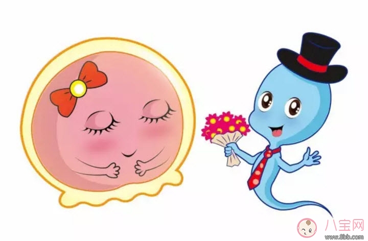 排卵藥可以增加雙胞胎幾率嗎 排卵藥能懷雙胞胎嗎 排卵藥可以增加雙胞胎幾率嗎 排卵藥能懷雙胞胎嗎