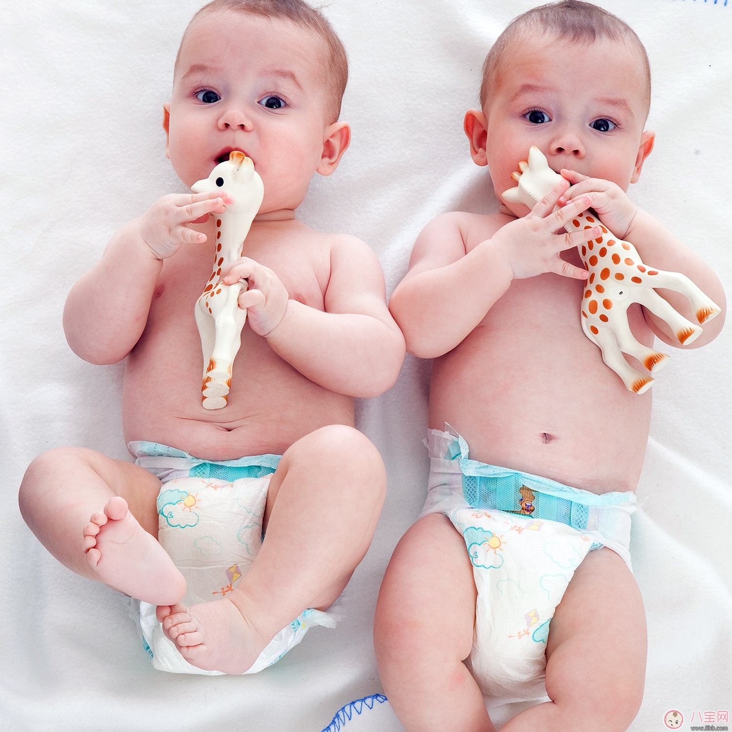 林志穎再添一對(duì)雙胞胎兒子 如何容易生雙胞胎 林志穎再添一對(duì)雙胞胎兒子 如何容易生雙胞胎