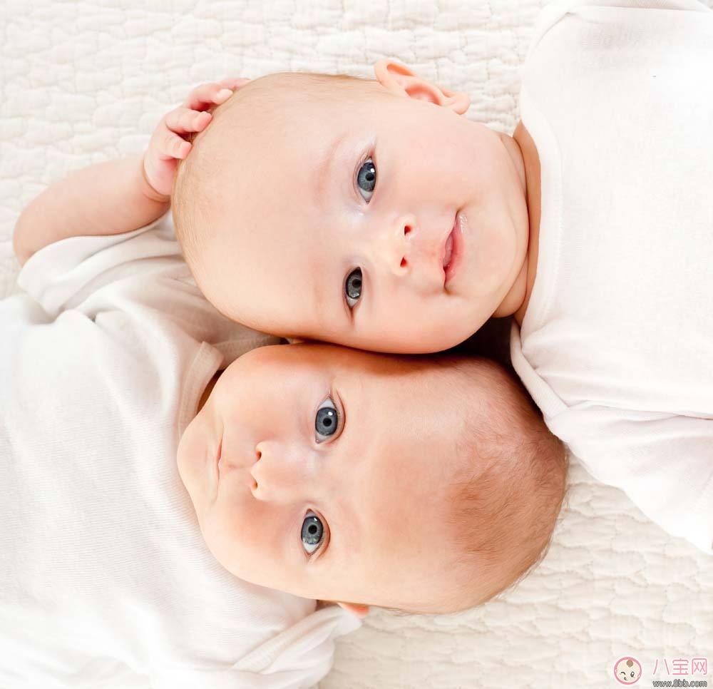 林志穎再添一對(duì)雙胞胎兒子 如何容易生雙胞胎 林志穎再添一對(duì)雙胞胎兒子 如何容易生雙胞胎