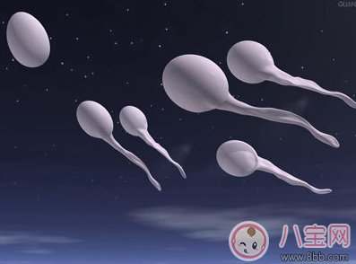 同房后“倒立”就可以懷上嗎 備孕期間有哪些誤區(qū)要注意 同房后“倒立”就可以懷上嗎 備孕期間有哪些誤區(qū)要注意