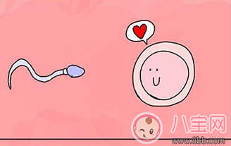 同房后“倒立”就可以懷上嗎 備孕期間有哪些誤區(qū)要注意 同房后“倒立”就可以懷上嗎 備孕期間有哪些誤區(qū)要注意