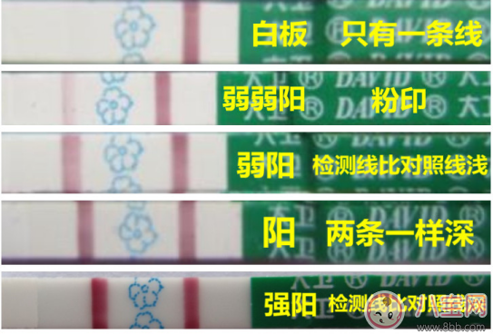 測(cè)卵紙二條紅線是不是可以懷上 備孕測(cè)排卵的方法 測(cè)卵紙二條紅線是不是可以懷上 備孕測(cè)排卵的方法