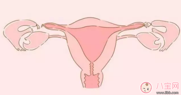 一碰就懷孕是真的嗎 易孕體質(zhì)有哪些征兆 一碰就懷孕是真的嗎 易孕體質(zhì)有哪些征兆