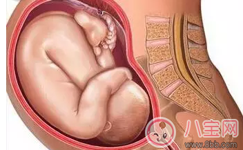 懷孕后那些情況不能順產(chǎn) 有些時候多聽醫(yī)囑準沒錯