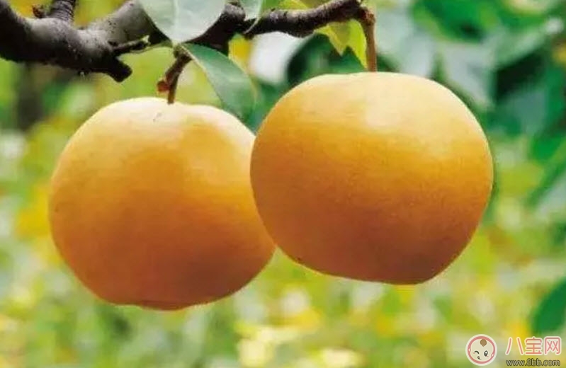 孕婦秋燥怎么調(diào)理吃什么好 孕婦秋燥如何護理皮膚 孕婦秋燥怎么調(diào)理吃什么好 孕婦秋燥如何護理皮膚