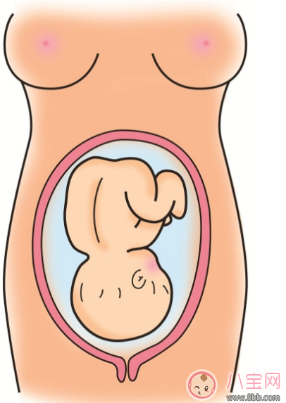 胎位不正只能剖腹產了嗎 怎么讓胎位不正順產
