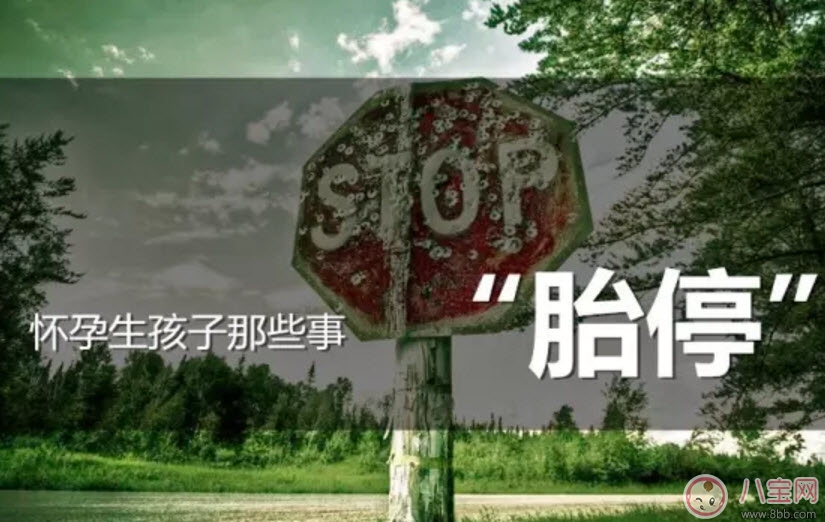 胎停的早期癥狀有哪些 胎停后再備孕要注意些什么 胎停的早期癥狀有哪些 胎停后再備孕要注意些什么