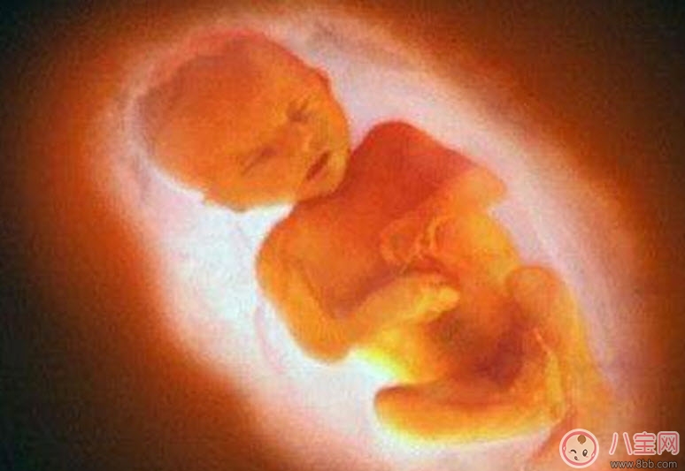 孕婦四維彩超的最佳時間 孕婦一定要做四維彩超嗎