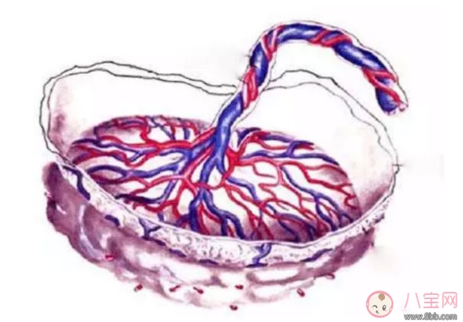 孕晚期胎盤老化能順產(chǎn)嗎 胎盤三級必須剖腹產(chǎn)嗎