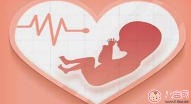 懷孕沒有胎心是什么原因 寶寶沒胎心是不是不能要