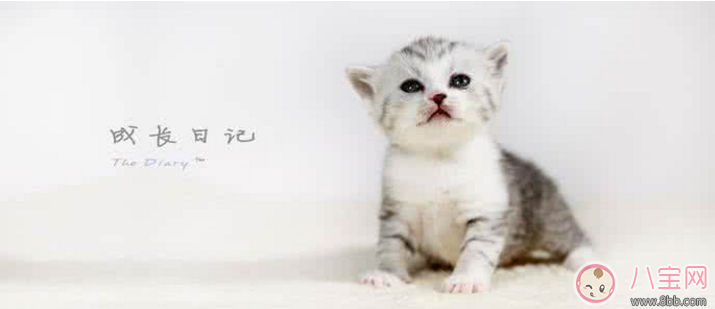 懷孕時有哪些事情做了才不會覺得遺憾 不知道就等著后悔吧 懷孕時有哪些事情做了才不會覺得遺憾 不知道就等著后悔吧