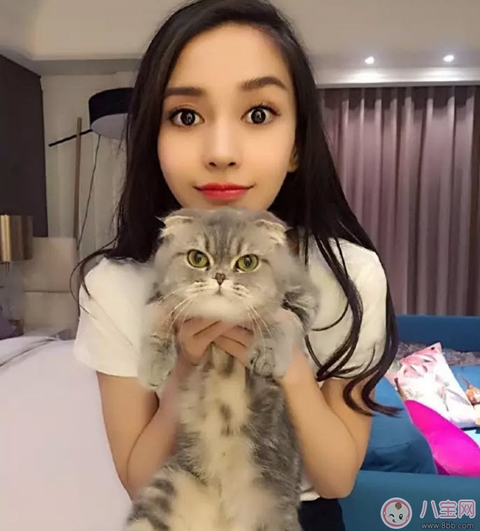 孕期家里有寵物怎么辦 孕期養(yǎng)寵物注意事項 孕期家里有寵物怎么辦 孕期養(yǎng)寵物注意事項