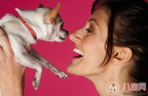 孕期家里有寵物怎么辦 孕期養(yǎng)寵物注意事項 孕期家里有寵物怎么辦 孕期養(yǎng)寵物注意事項