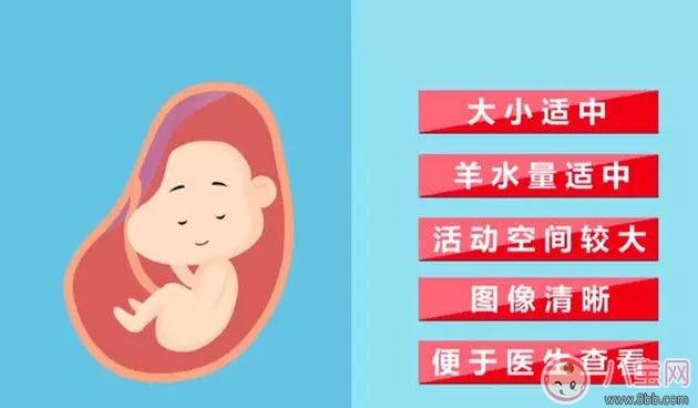 從懷孕到生要做幾次b超 懷孕做多少次b超合適(孕期b超時(shí)間表) 從懷孕到生要做幾次b超 懷孕做多少次b超合適(孕期b超時(shí)間表)