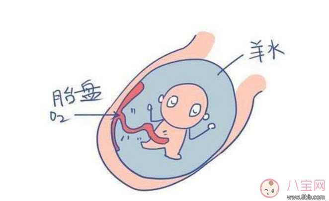 孕晚期羊水過多怎么辦 羊水過多的原因 孕晚期羊水過多怎么辦 羊水過多的原因