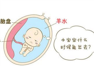 孕晚期羊水過多怎么辦 羊水過多的原因