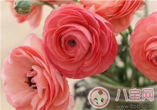 產(chǎn)后排尿難的原因  如何促進(jìn)排尿