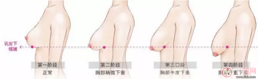 你的胸部大小正常嗎  不同階段的女性乳房尺寸不同