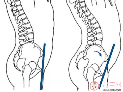 柯基臀是骨盆前傾嗎 李菲兒的柯基臀是怎么練成的 柯基臀是骨盆前傾嗎 李菲兒的柯基臀是怎么練成的