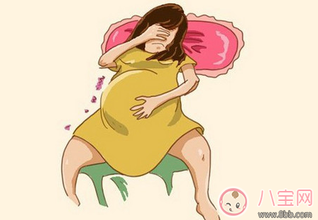 吃紅棗居然能幫助順產(chǎn) 哪些食物吃了有利于順產(chǎn) 吃紅棗居然能幫助順產(chǎn) 哪些食物吃了有利于順產(chǎn)