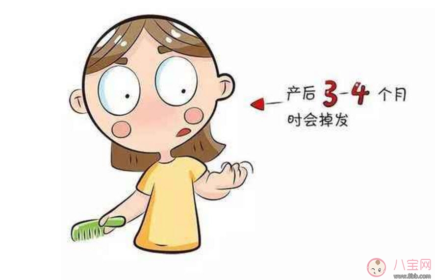 產(chǎn)后發(fā)際線脫發(fā)怎么辦 產(chǎn)后發(fā)際線怎么恢復(fù)