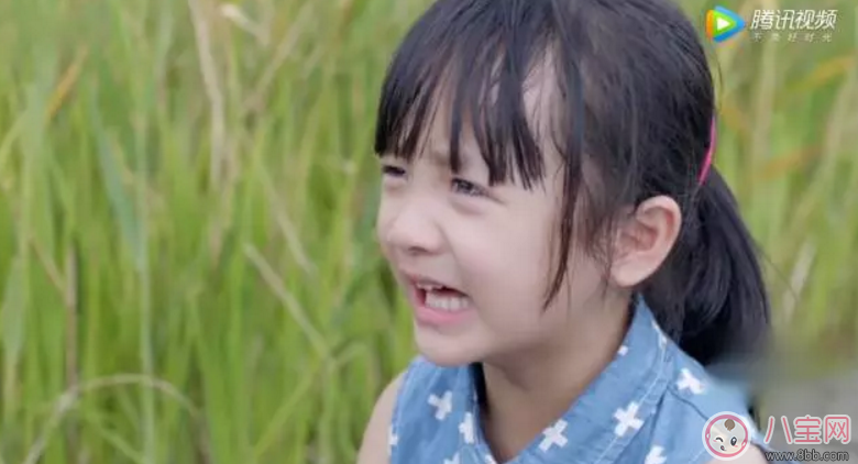 《美味奇緣》看了想睡覺！《美味奇緣》故事主線是什么？