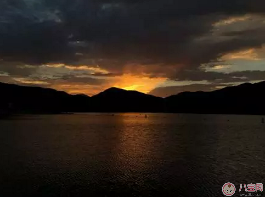 iPhone 8、iPhone 8 Plus以及iPhone X哪個好 哪款iPhone 更值得買