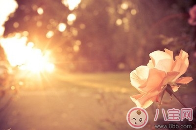 微博網(wǎng)易云里用爛了的評論 剖析為什么用爛了依舊戳心 微博網(wǎng)易云里用爛了的評論 剖析為什么用爛了依舊戳心