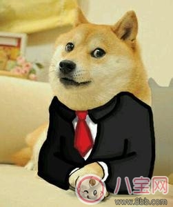 祖國(guó)花朵專用雨衣 給寶寶選什么雨衣好