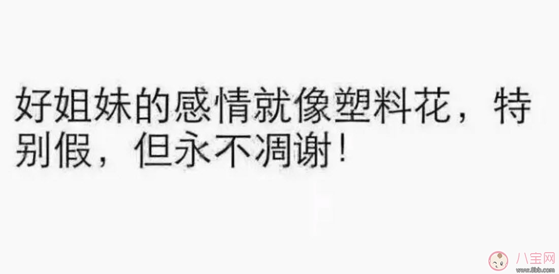 塑料姐妹花永遠(yuǎn)不分家?塑料花友誼什么意思 娛樂圈那些塑料花姐妹友誼 塑料姐妹花永遠(yuǎn)不分家?塑料花友誼什么意思 娛樂圈那些塑料花姐妹友誼