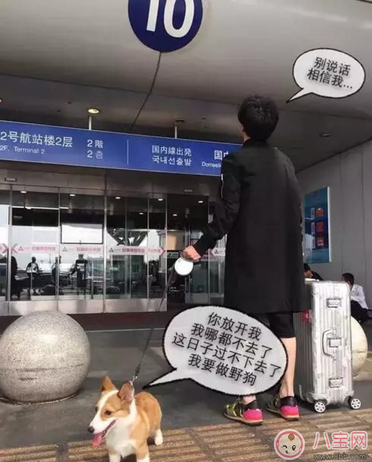 人生巔峰的薛之謙為什么把所有的一往情深都給了同一個(gè)人？