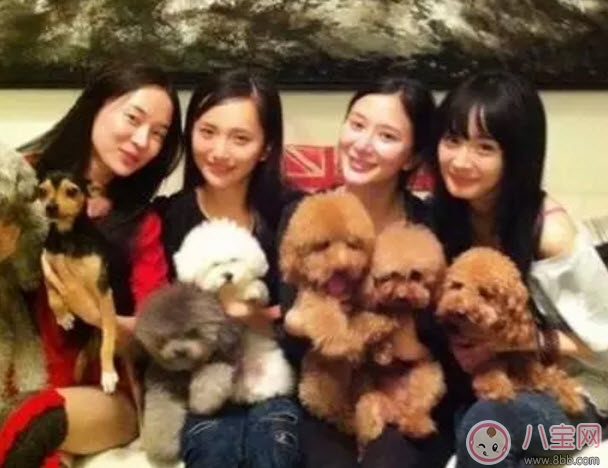 塑料姐妹花永遠(yuǎn)不分家?塑料花友誼什么意思 娛樂圈那些塑料花姐妹友誼 塑料姐妹花永遠(yuǎn)不分家?塑料花友誼什么意思 娛樂圈那些塑料花姐妹友誼