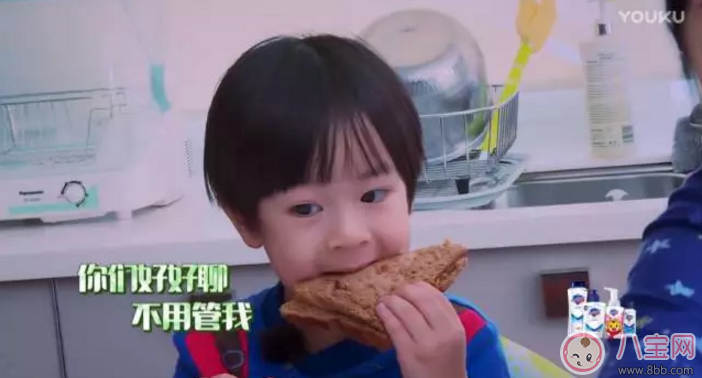 爸爸去哪兒5萌娃表現(xiàn) 哪位萌娃更讓你期待呢？