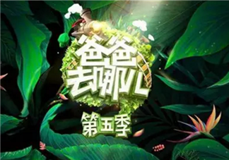 《爸爸去哪兒》第五季被傳停播的真實(shí)原因？湖南臺(tái)這樣做的幕后真相……