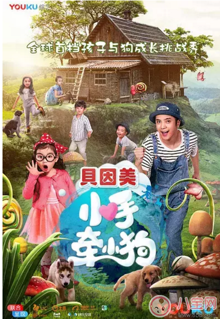 《小手牽小狗》羅志祥帶了幾位萌娃？阿拉蕾的表現(xiàn)怎么樣