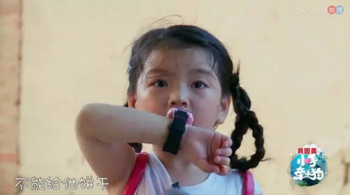 《小手牽小狗》羅志祥帶了幾位萌娃？阿拉蕾的表現(xiàn)怎么樣