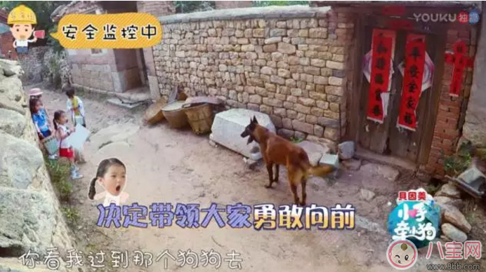 《小手牽小狗》羅志祥帶了幾位萌娃？阿拉蕾的表現(xiàn)怎么樣