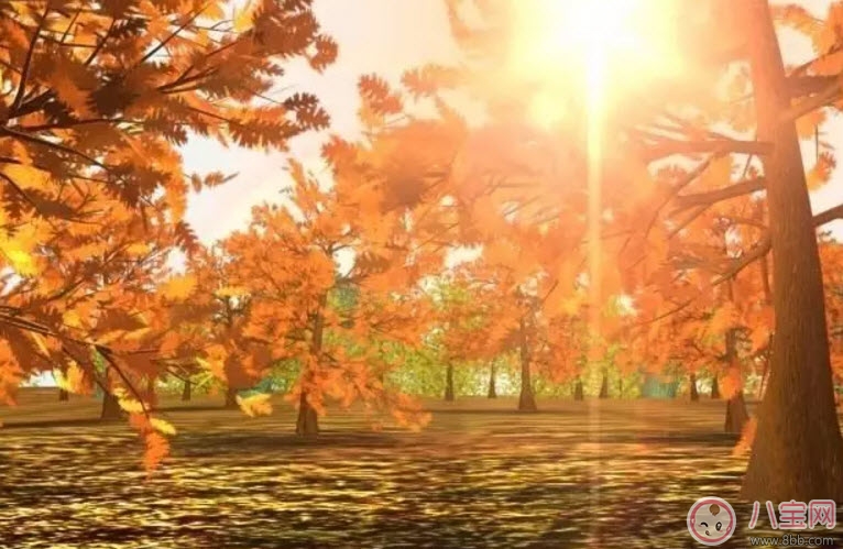 為什么秋季養(yǎng)生要吃鴨 秋天養(yǎng)生吃鴨有什么好處 為什么秋季養(yǎng)生要吃鴨 秋天養(yǎng)生吃鴨有什么好處