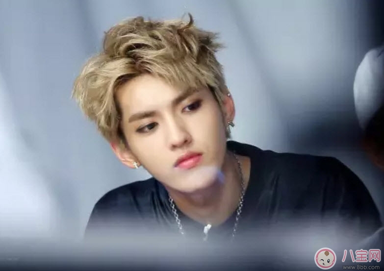 吳亦凡菠蘿頭發(fā)型圖片 2017吳亦凡發(fā)型圖片盤點 吳亦凡菠蘿頭發(fā)型圖片 2017吳亦凡發(fā)型圖片盤點