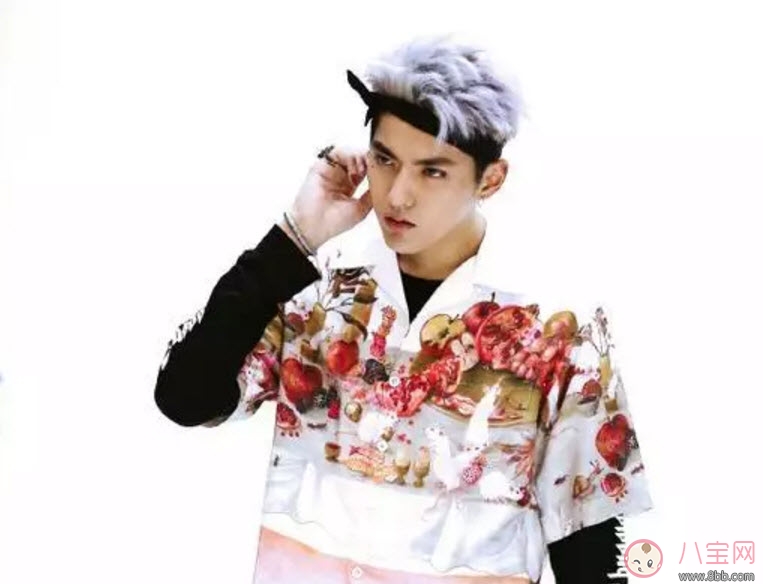 吳亦凡菠蘿頭發(fā)型圖片 2017吳亦凡發(fā)型圖片盤點 吳亦凡菠蘿頭發(fā)型圖片 2017吳亦凡發(fā)型圖片盤點