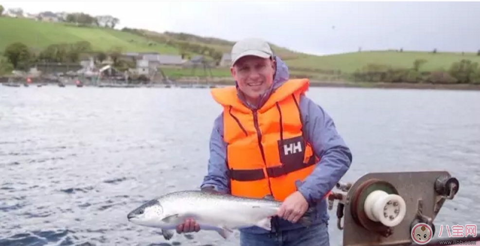 范瑋琪的寶寶也在吃 家佳樂課堂輔食寶寶口糧必囤 范瑋琪的寶寶也在吃 家佳樂課堂輔食寶寶口糧必囤
