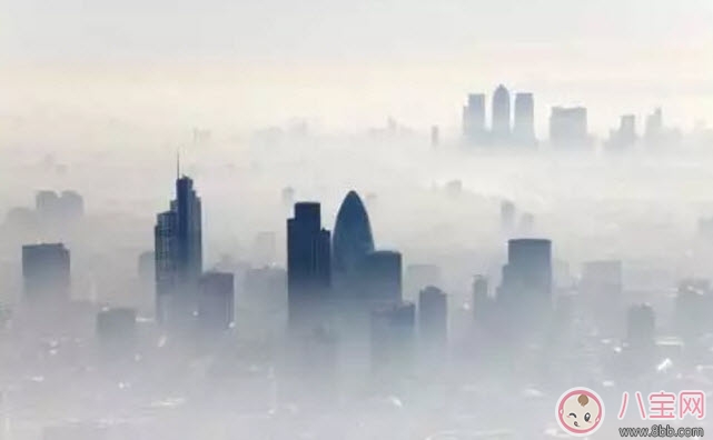 寶寶養(yǎng)肺吃什么 適合寶寶吃的秋天養(yǎng)肺水果有哪些 寶寶養(yǎng)肺吃什么 適合寶寶吃的秋天養(yǎng)肺水果有哪些