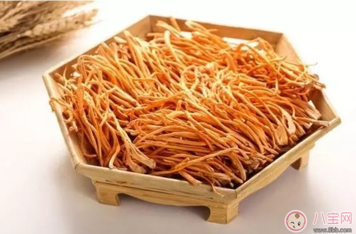 孕婦可以喝蟲草花煲湯嗎 懷孕可蟲草花燉雞孕婦能吃嗎