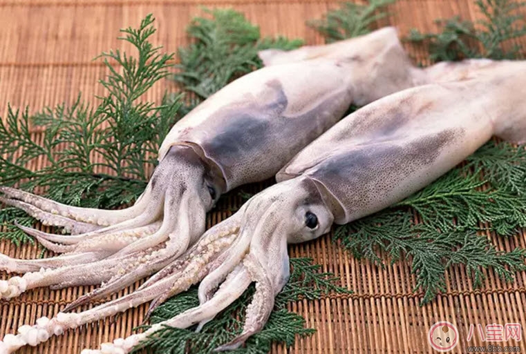 孕婦魷魚可以吃嗎 孕婦吃魷魚有哪些好處
