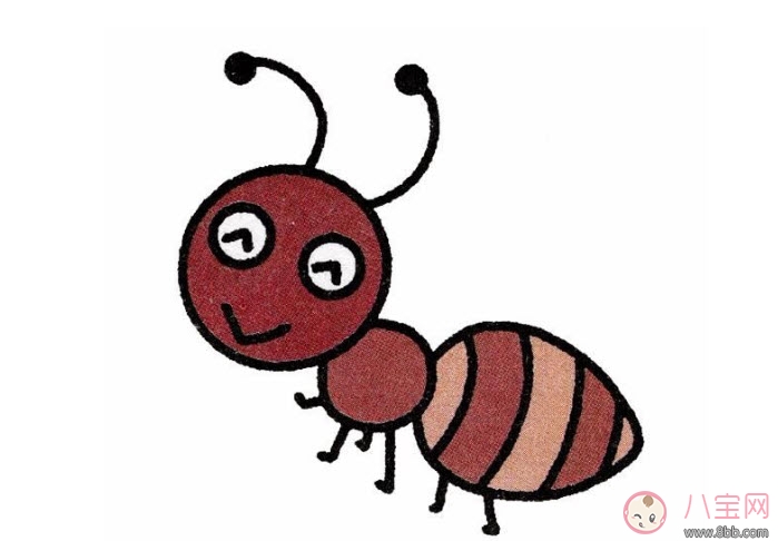 螞蟻腰身材標準 blackpink rose螞蟻腰腰圍是多少