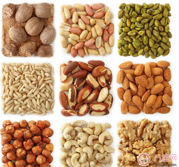 秋季吃這些提高孩子記憶力 孩子怎么吃堅果好 秋季吃這些提高孩子記憶力 孩子怎么吃堅果好